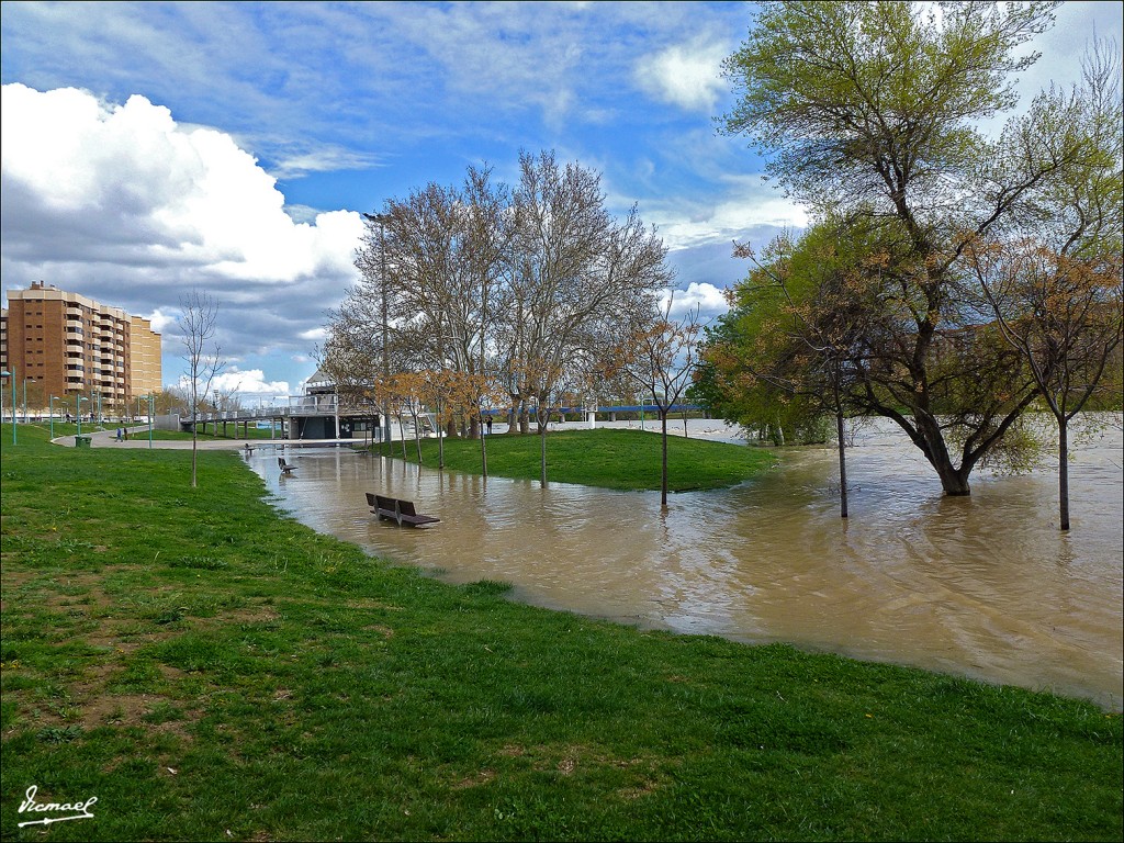 Foto: 130402-10 RIADA EN EL EBRO - Zaragoza (Aragón), España