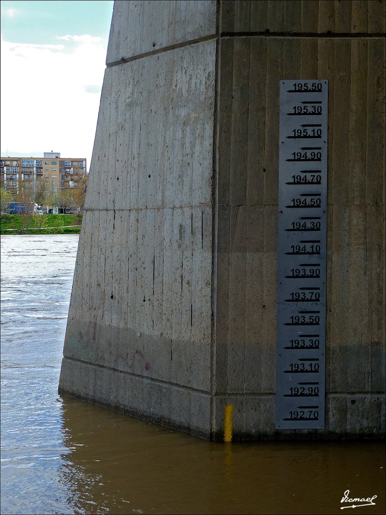 Foto: 130402-11 RIADA EN EL EBRO - Zaragoza (Aragón), España