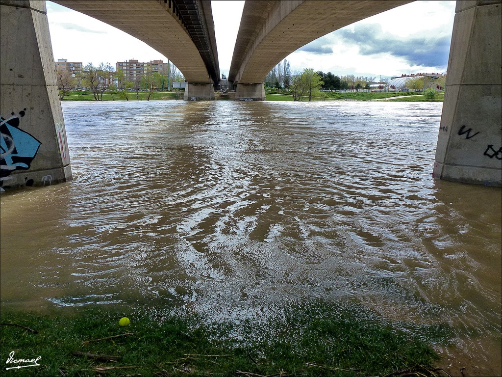 Foto: 130402-13 RIADA EN EL EBRO - Zaragoza (Aragón), España