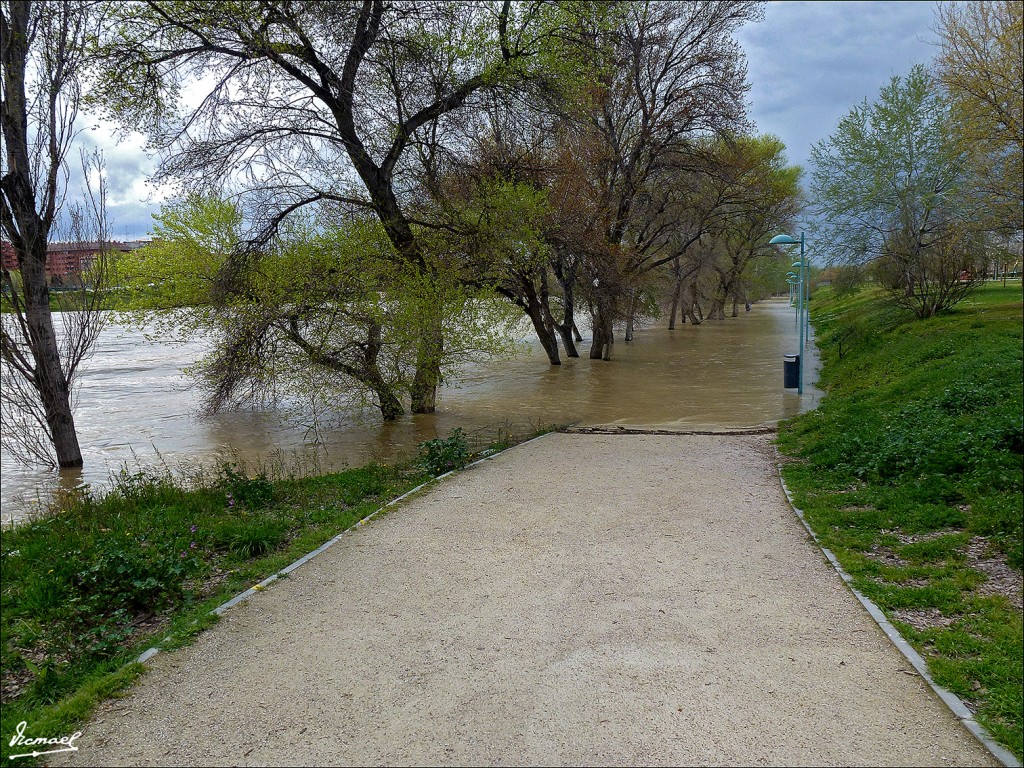 Foto: 130402-15 RIADA EN EL EBRO - Zaragoza (Aragón), España