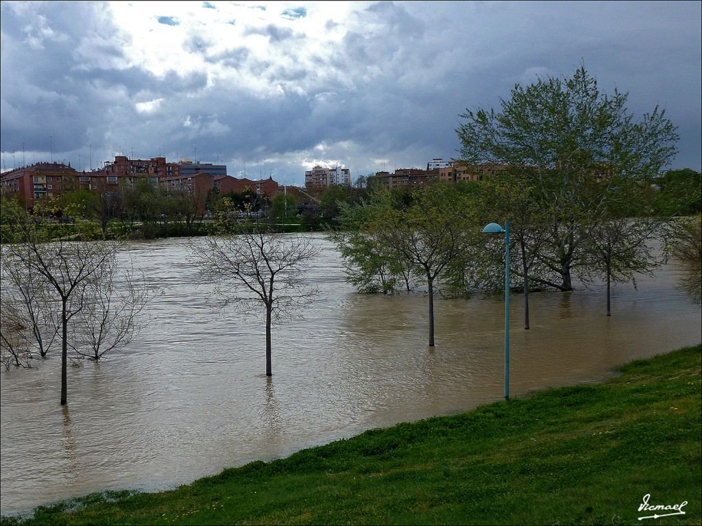 Foto: 130402-19 RIADA EN EL EBRO - Zaragoza (Aragón), España