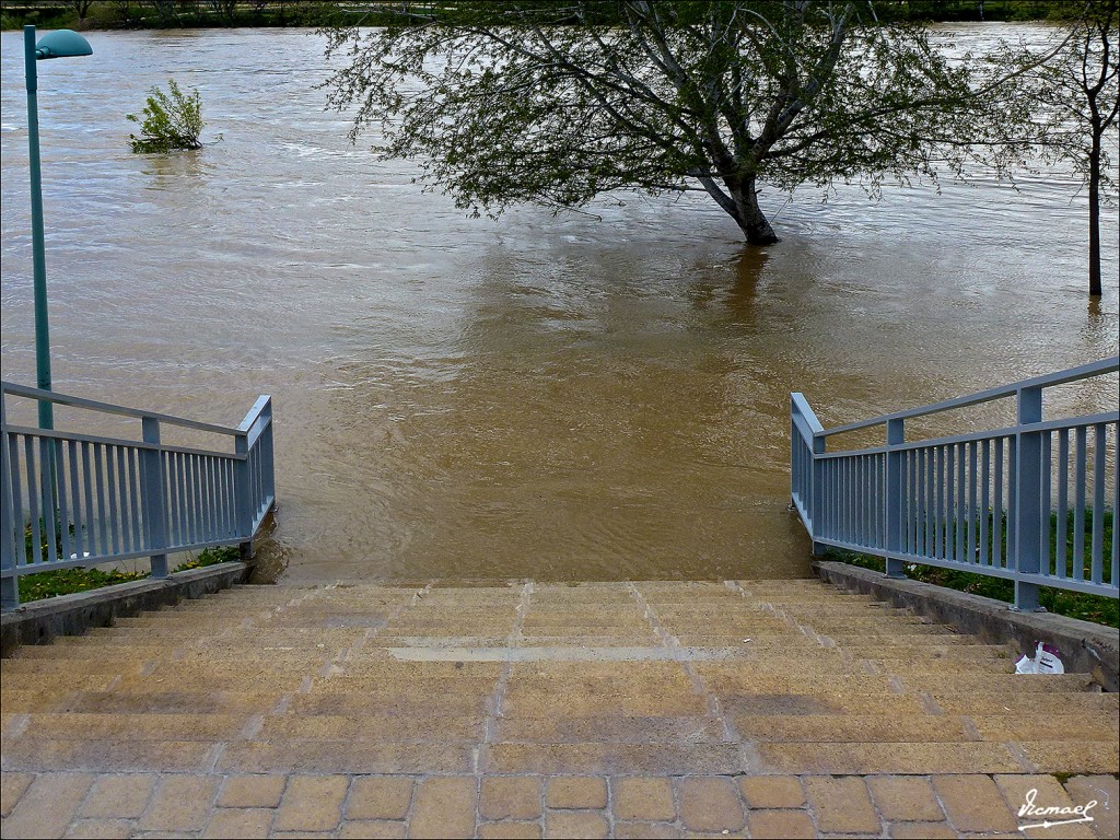 Foto: 130402-20 RIADA EN EL EBRO - Zaragoza (Aragón), España