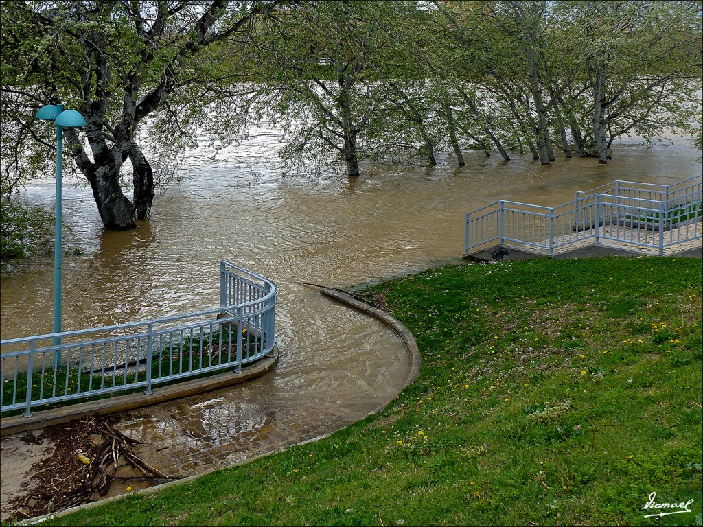 Foto: 130402-21 RIADA EN EL EBRO - Zaragoza (Aragón), España