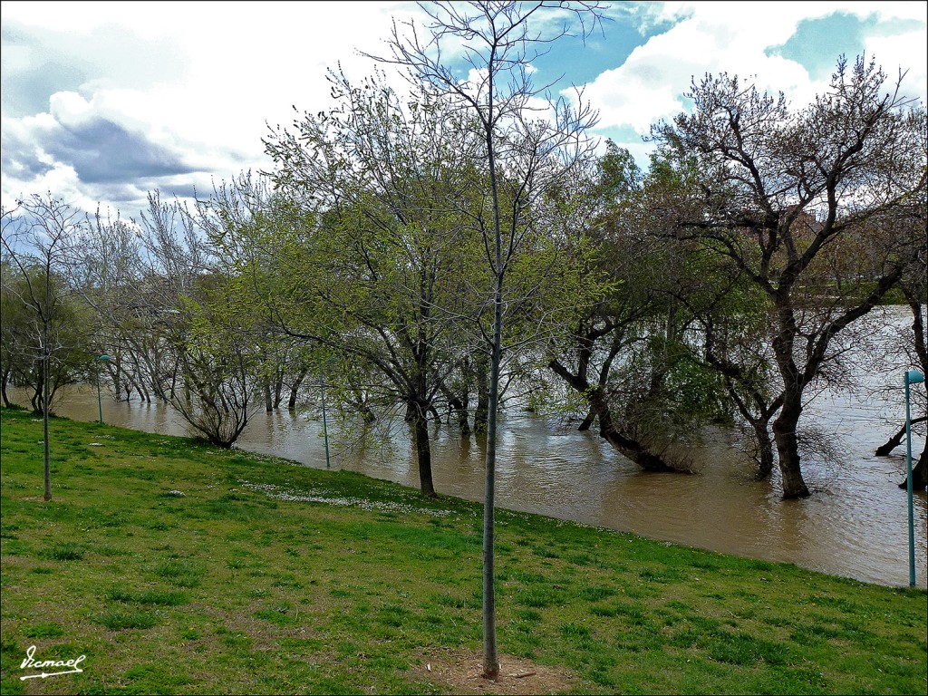 Foto: 130402-22 RIADA EN EL EBRO - Zaragoza (Aragón), España