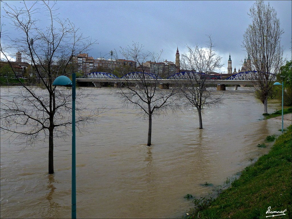 Foto: 130402-23 RIADA EN EL EBRO - Zaragoza (Aragón), España