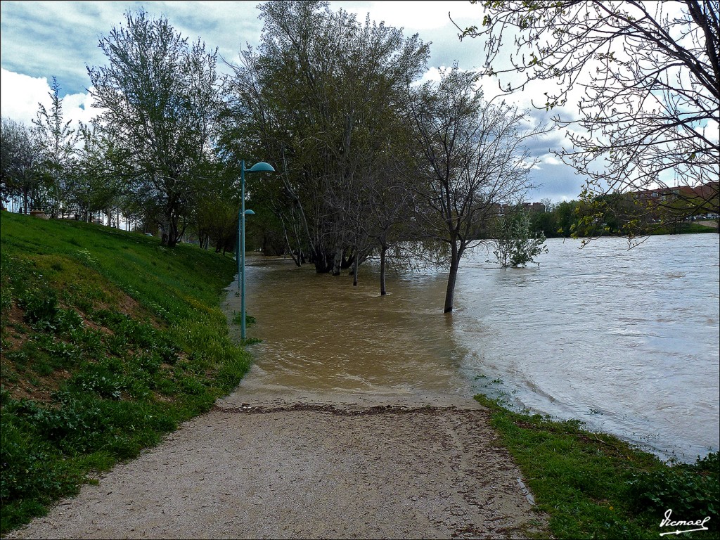 Foto: 130402-24 RIADA EN EL EBRO - Zaragoza (Aragón), España