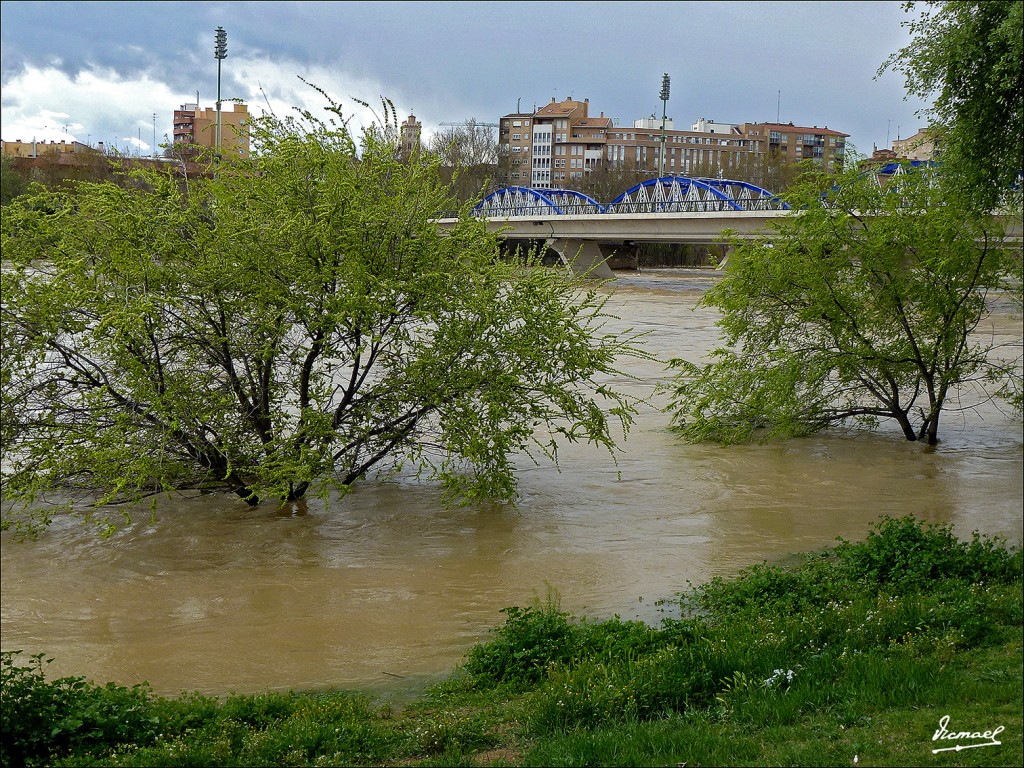 Foto: 130402-27 RIADA EN EL EBRO - Zaragoza (Aragón), España