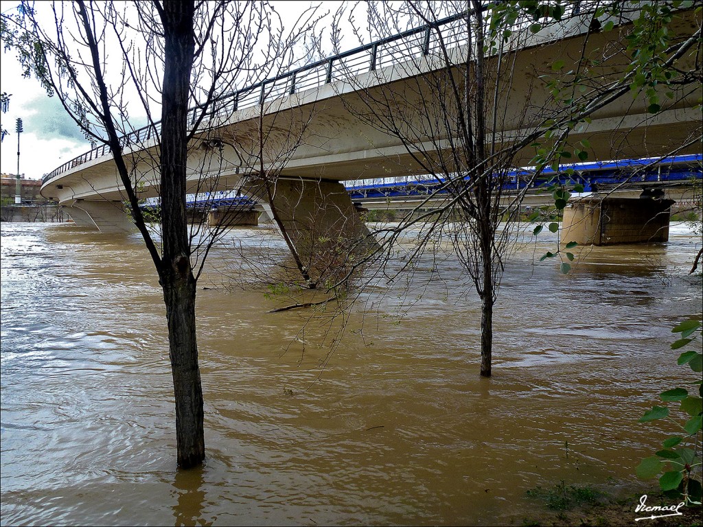 Foto: 130402-28 RIADA EN EL EBRO - Zaragoza (Aragón), España