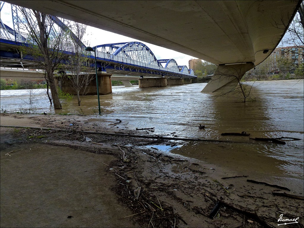 Foto: 130402-29 RIADA EN EL EBRO - Zaragoza (Aragón), España