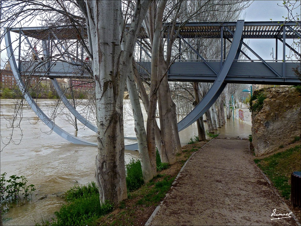 Foto: 130402-31 RIADA EN EL EBRO - Zaragoza (Aragón), España