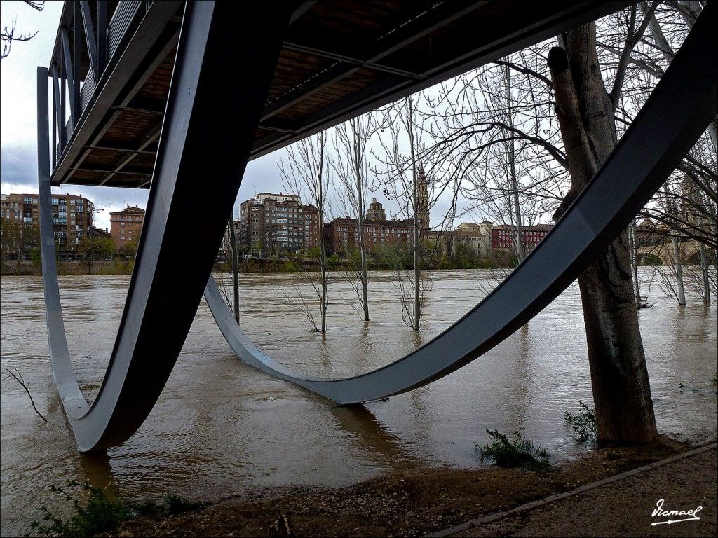 Foto: 130402-33 RIADA EN EL EBRO - Zaragoza (Aragón), España