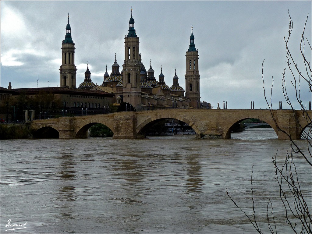 Foto: 130402-35 RIADA EN EL EBRO - Zaragoza (Aragón), España