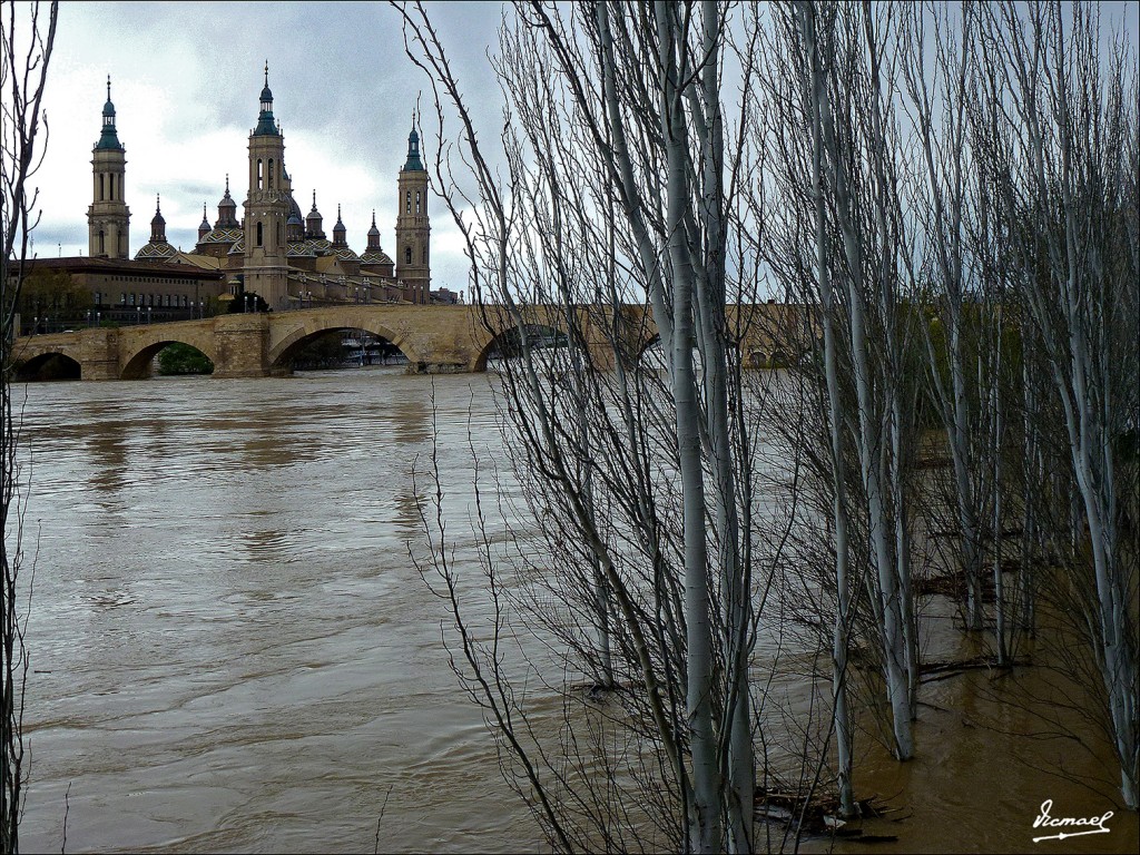 Foto: 130402-37 RIADA EN EL EBRO - Zaragoza (Aragón), España