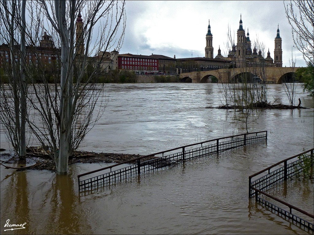 Foto: 130402-38 RIADA EN EL EBRO - Zaragoza (Aragón), España