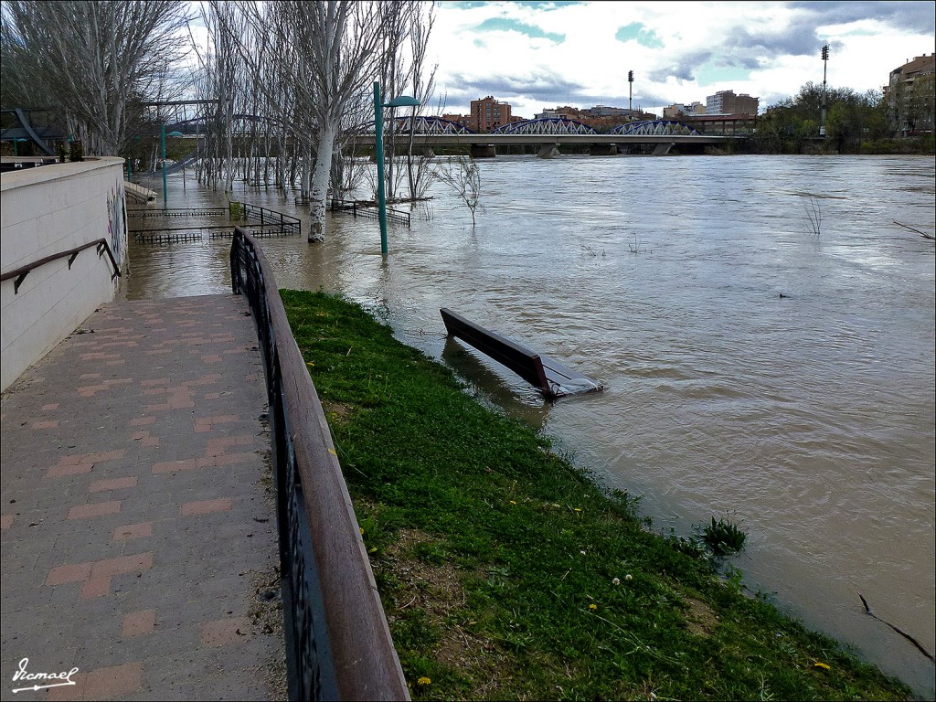 Foto: 130402-40 RIADA EN EL EBRO - Zaragoza (Aragón), España