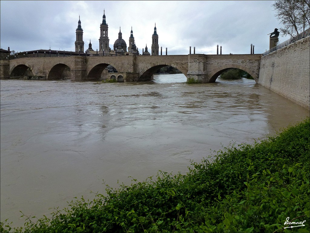 Foto: 130402-43 RIADA EN EL EBRO - Zaragoza (Aragón), España