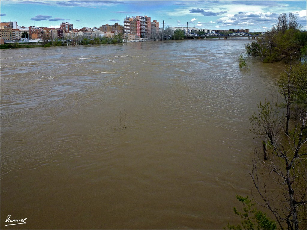 Foto: 130402-51 RIADA EN EL EBRO - Zaragoza (Aragón), España