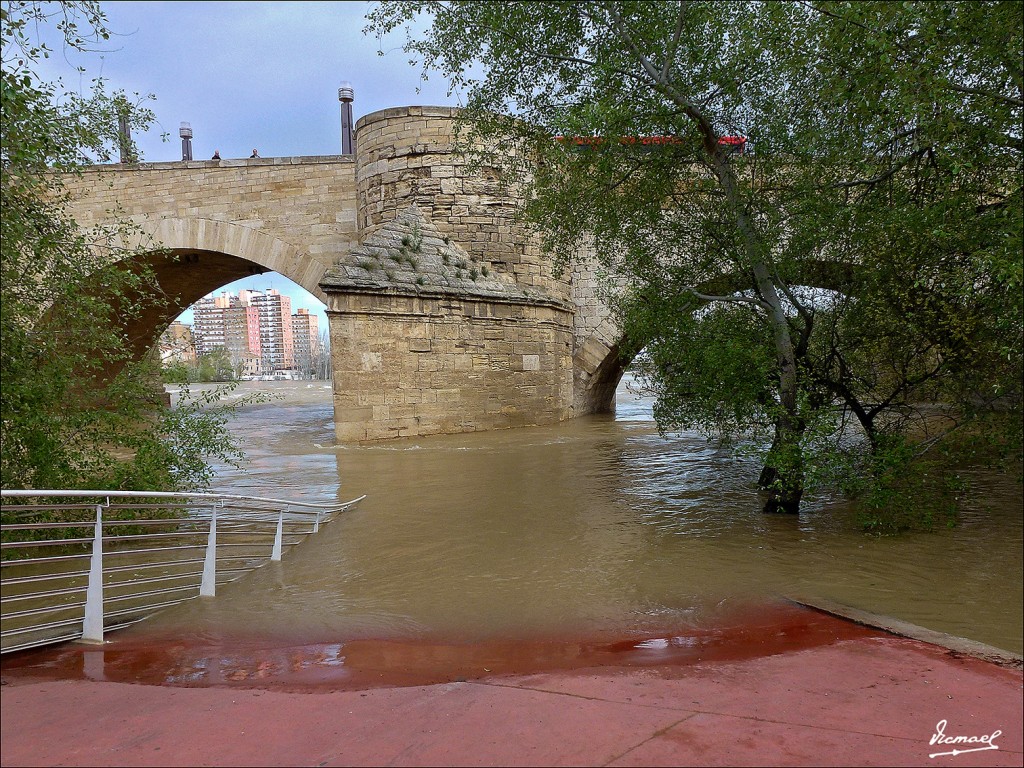 Foto: 130402-52 RIADA EN EL EBRO - Zaragoza (Aragón), España