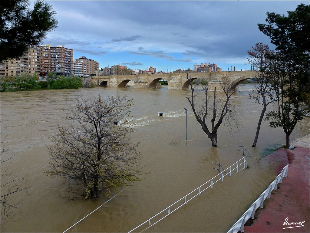 Foto: 130402-60 RIADA EN EL EBRO - Zaragoza (Aragón), España