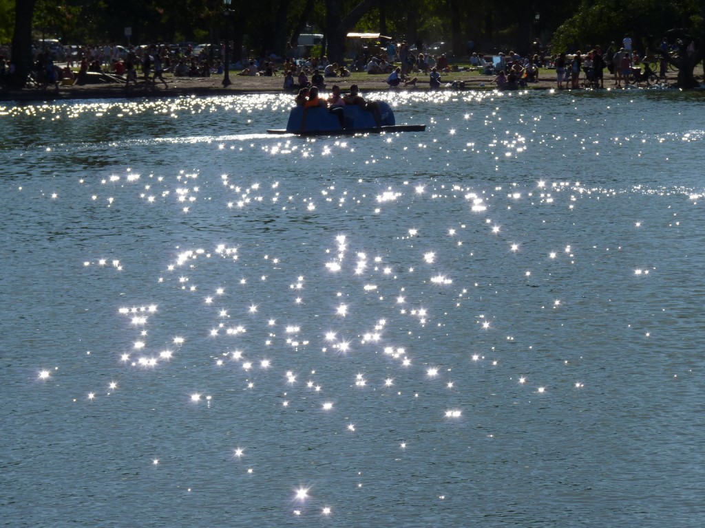 Foto: Parque Tres de Febrero - Ciudad Autónoma de Buenos Aires (Buenos Aires), Argentina