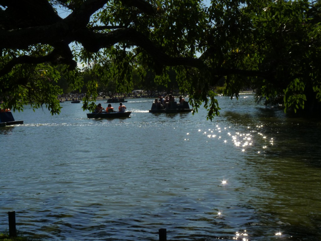 Foto: Parque Tres de Febrero - Ciudad Autónoma de Buenos Aires (Buenos Aires), Argentina