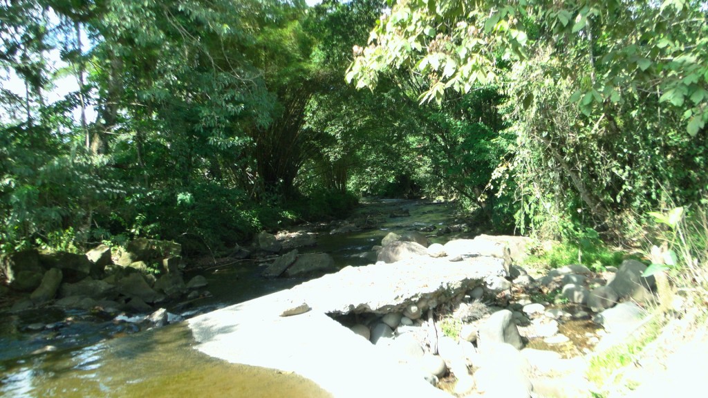 Foto: Upala - Upala (Alajuela), Costa Rica