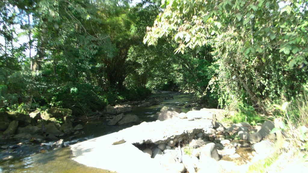 Foto: Upala - Upala (Alajuela), Costa Rica