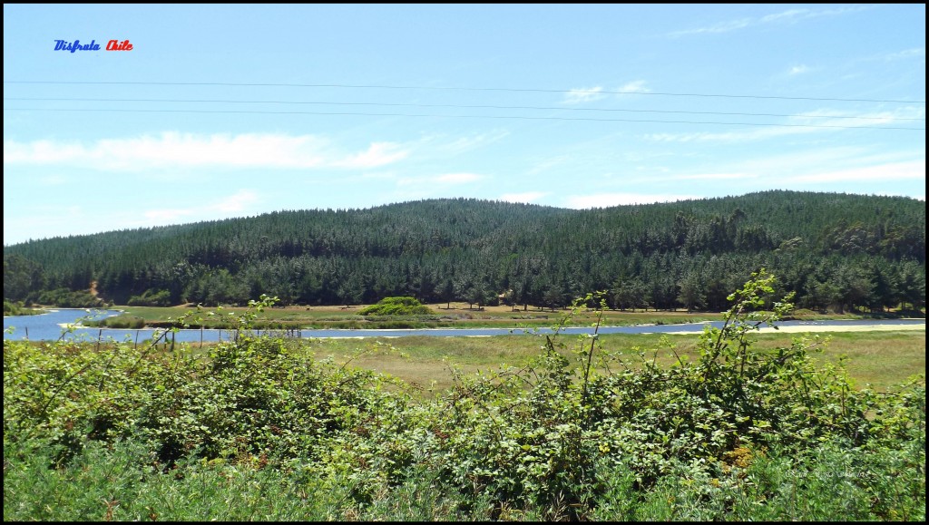 Foto de Pichilemu (Libertador General Bernardo OʼHiggins), Chile