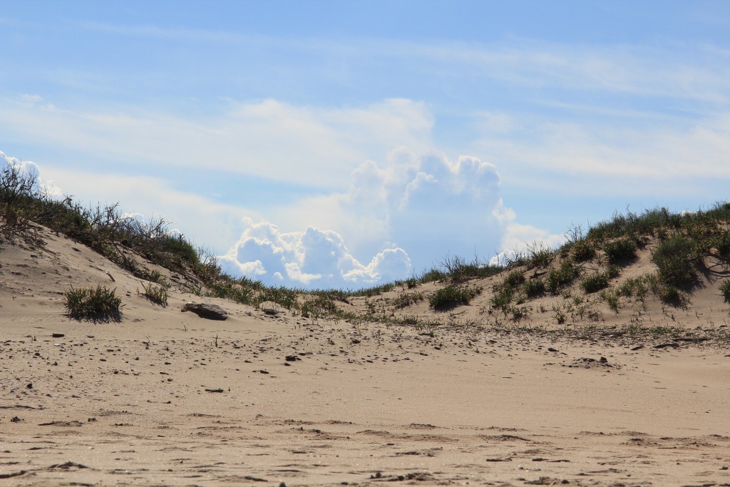 Foto de San Fernando (Cádiz), España
