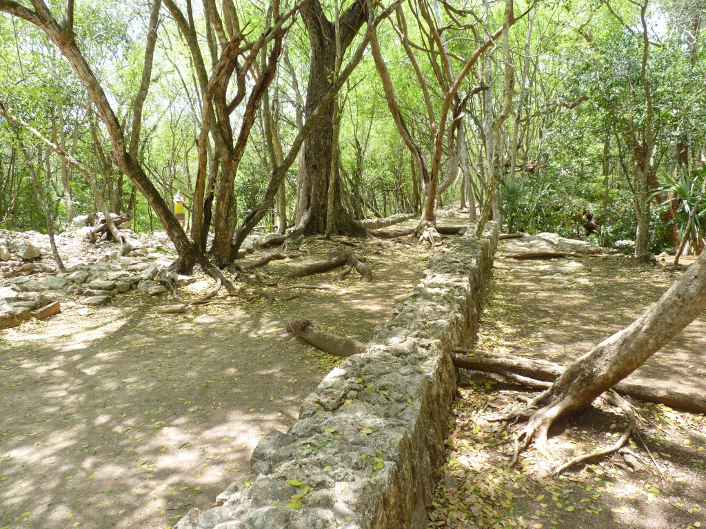 Foto: Camino blanco - Chichén Itzá (Yucatán), México