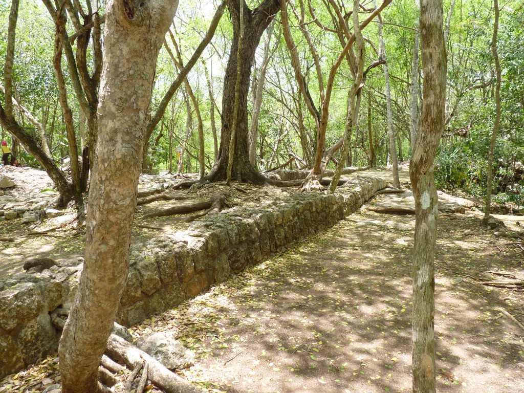 Foto: Camino blanco - Chichén Itzá (Yucatán), México