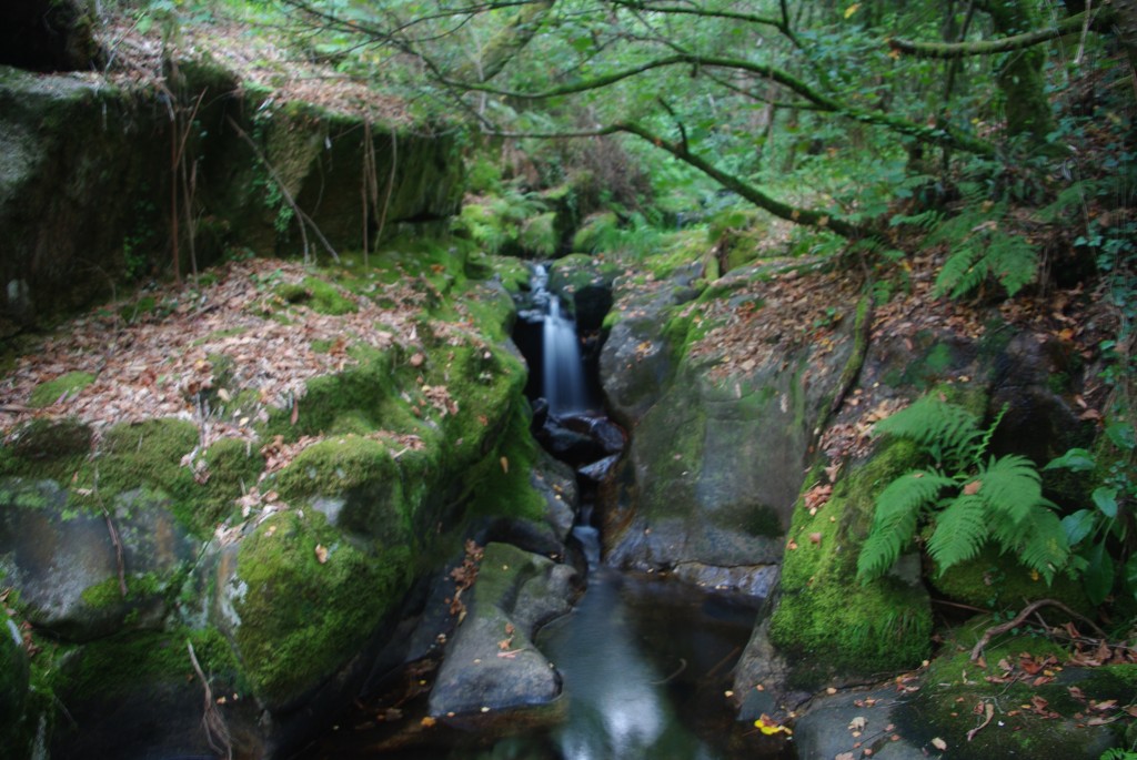 Foto: O salto - Luneda-A cañiza (Pontevedra), España