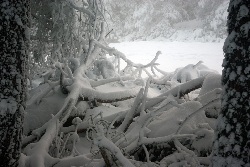 Foto: Chandrexa de Queixa - Terras de Trives (Ourense), España