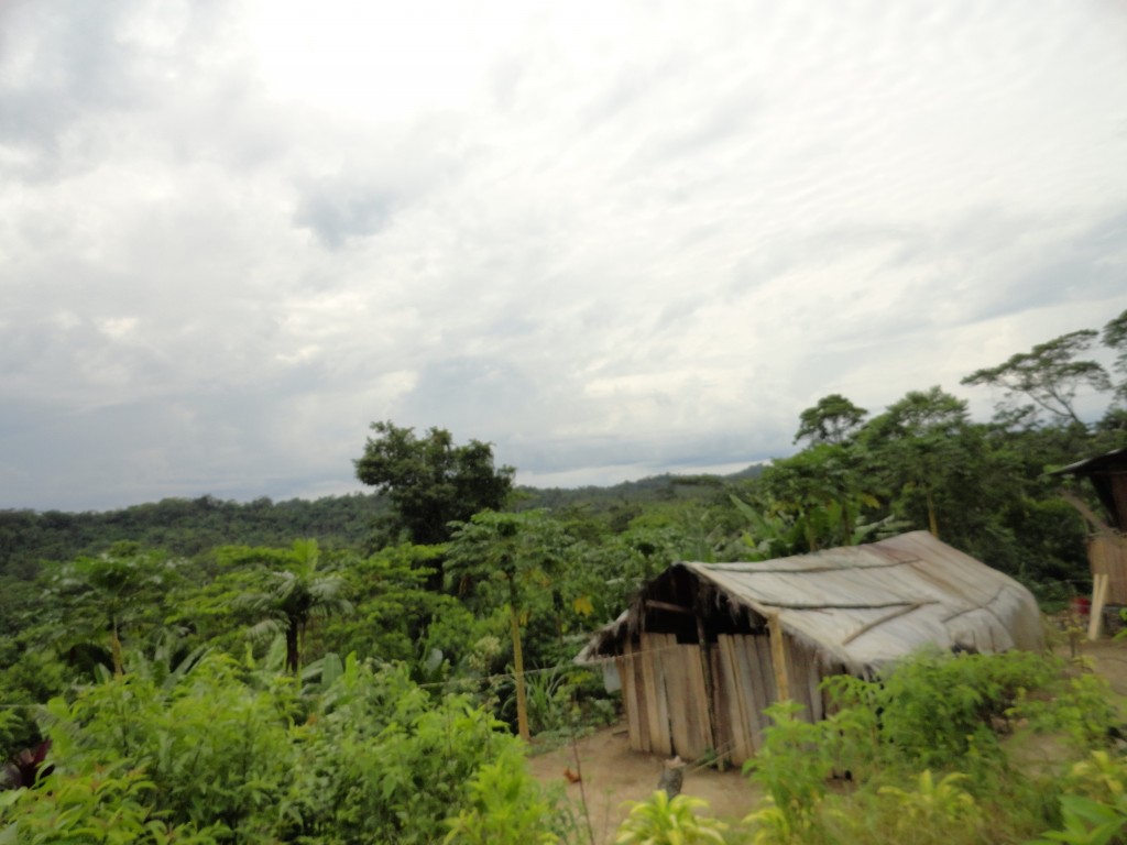 Foto: Choza - Simón Bolívar (Villa Flora) (Pastaza), Ecuador