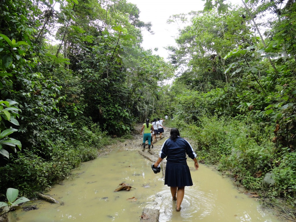 Foto: Paisaje - Simón Bolívar (Villa Flora) (Pastaza), Ecuador
