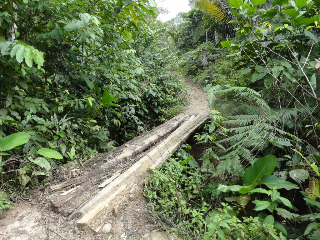 Foto: Puente - Simón Bolívar (Villa Flora) (Pastaza), Ecuador