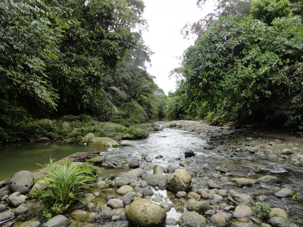 Foto: Paisaje - Simón Bolívar (Villa Flora) (Pastaza), Ecuador