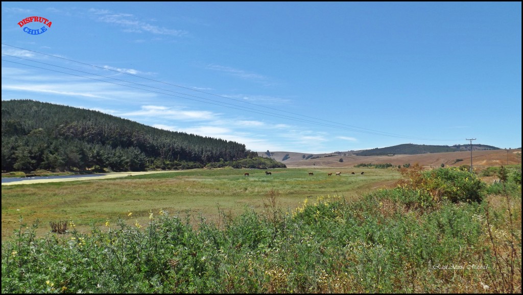Foto de Bucalemu (Libertador General Bernardo OʼHiggins), Chile
