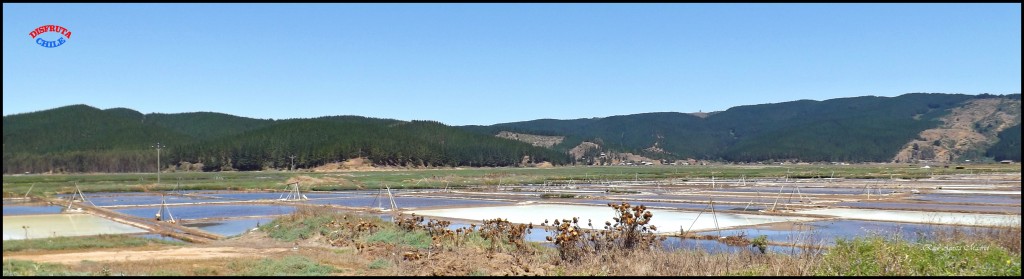 Foto de Lo Valdivia (Libertador General Bernardo OʼHiggins), Chile