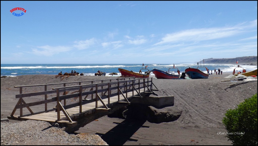 Foto de Bucalemu (Libertador General Bernardo OʼHiggins), Chile