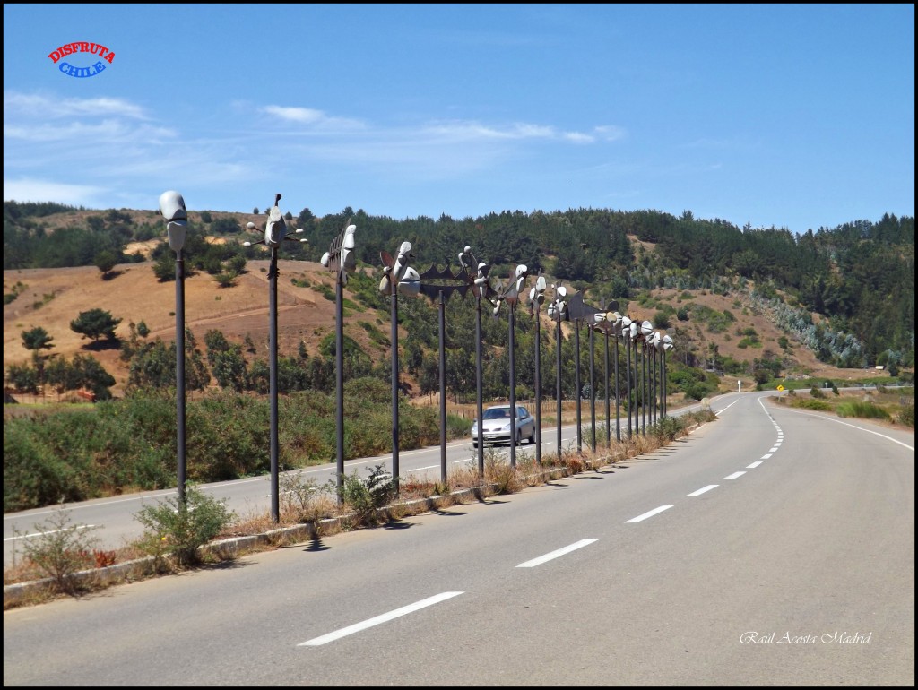 Foto de Bucalemu (Libertador General Bernardo OʼHiggins), Chile