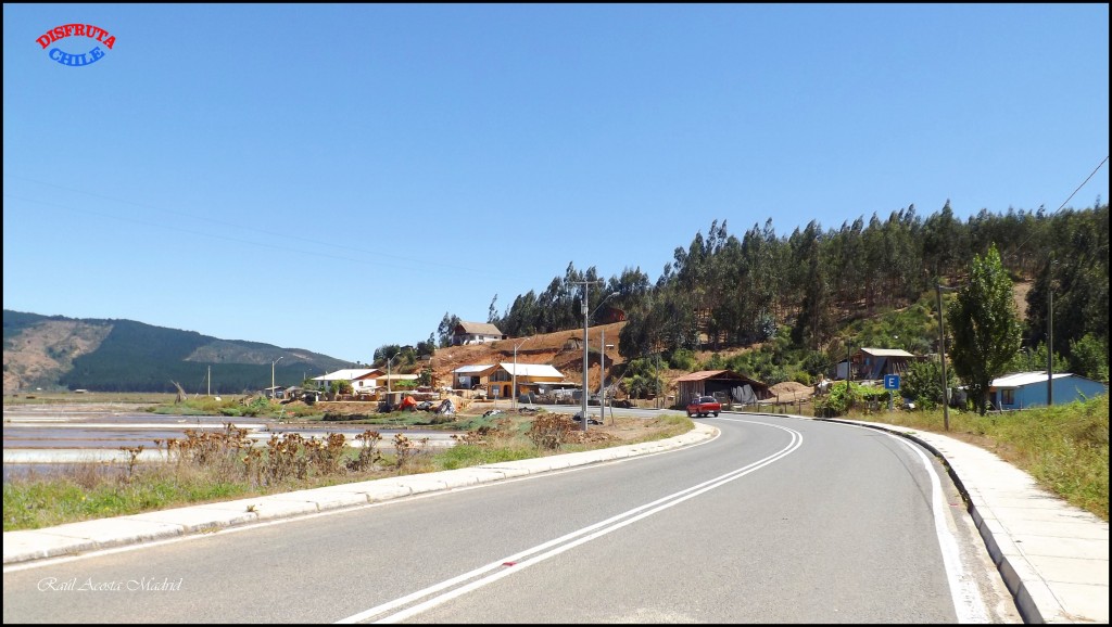 Foto de Lo Valdivia (Libertador General Bernardo OʼHiggins), Chile