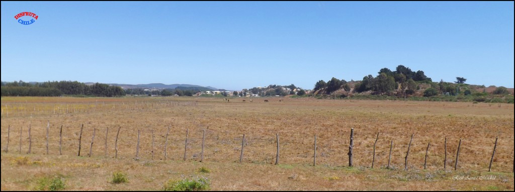 Foto de Bucalemu (Libertador General Bernardo OʼHiggins), Chile