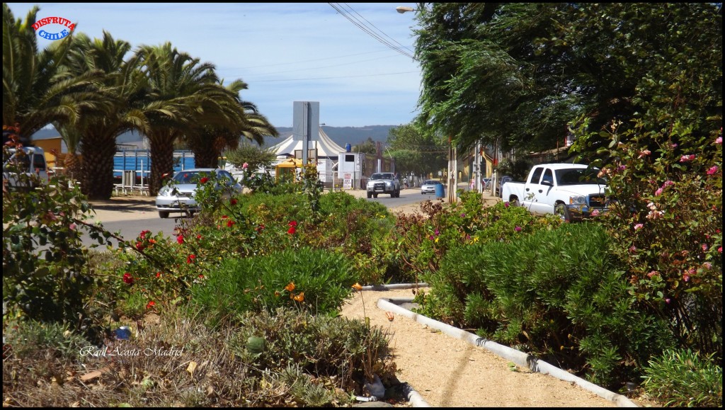 Foto de Pichilemu (Libertador General Bernardo OʼHiggins), Chile