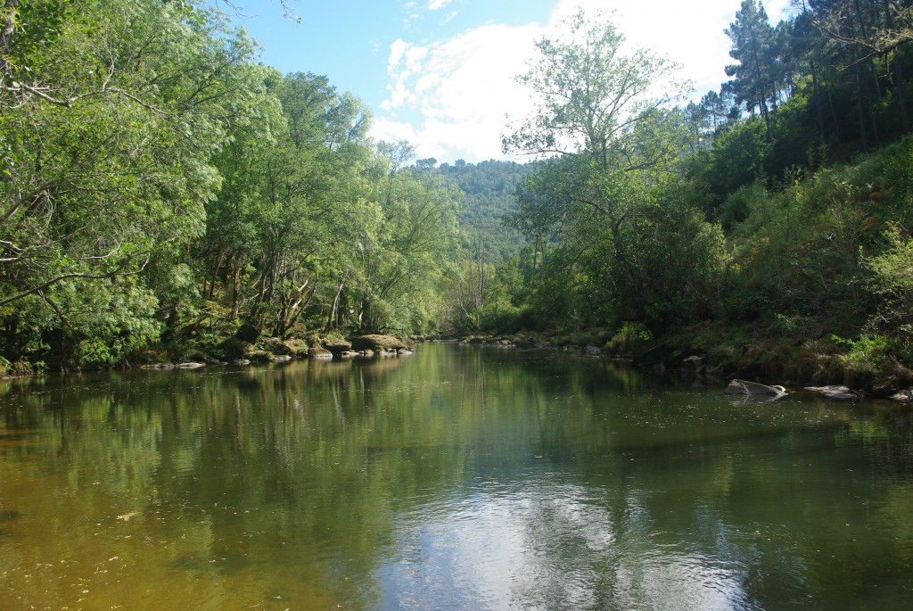 Foto de Pazos de Arenteiro (Ourense), España