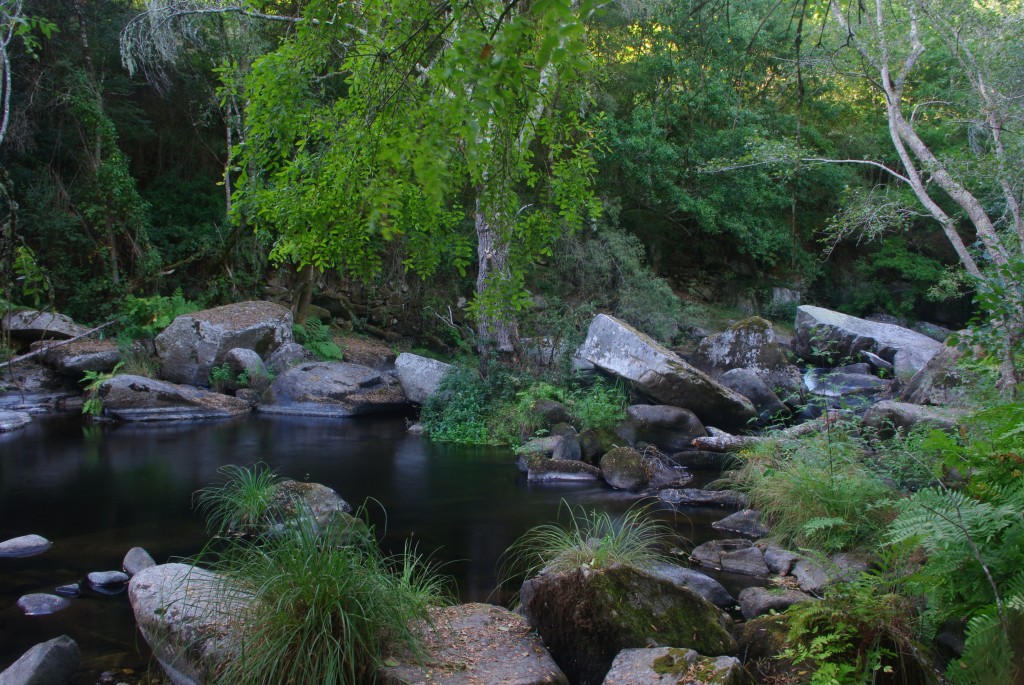 Foto de Pazos de Arenteiro (Ourense), España