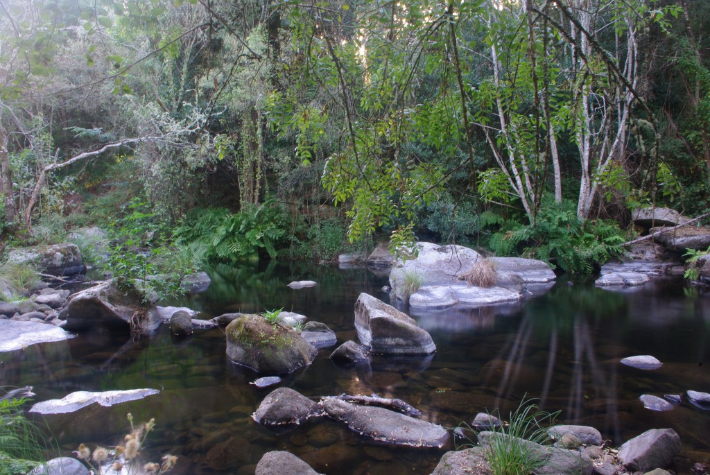 Foto de Pazos de Arenteiro (Ourense), España