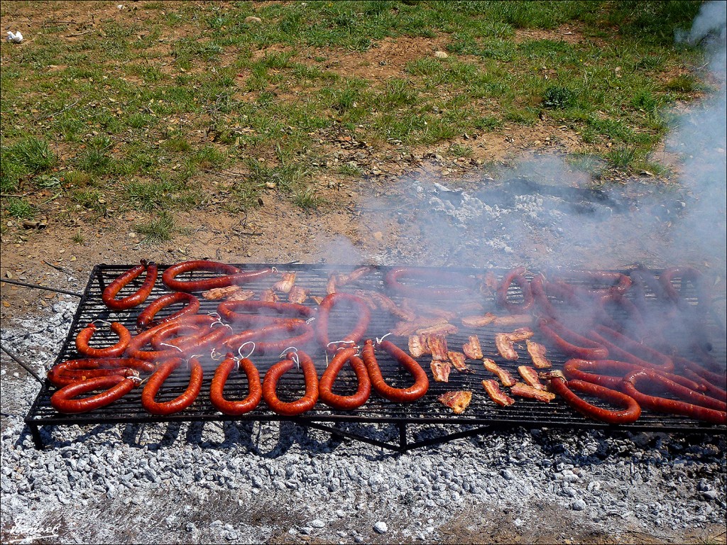 Foto: 130511-06 ALCONCHEL DE ARIZA - Alconchel De Ariza (Zaragoza), España