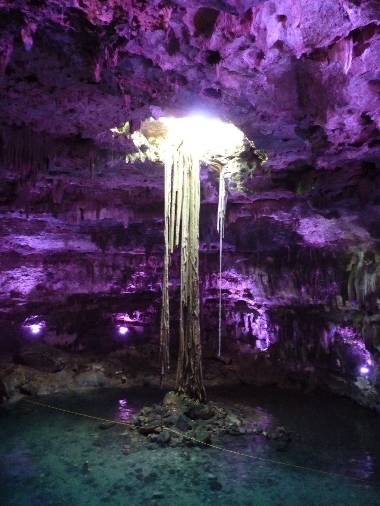 Foto: Cenote - Chichén Itzá (Yucatán), México