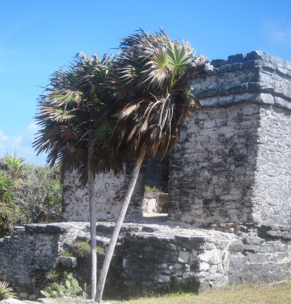 Foto: Casa del Cenote - Tulum (Yucatán), México